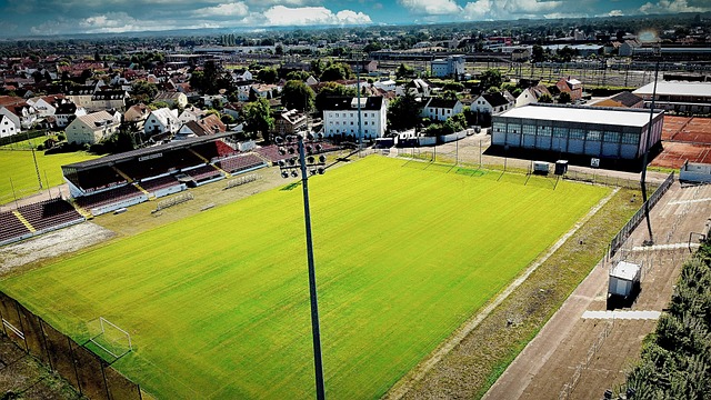 年輕球員成 年輕球員成